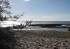 Plage de Graveyron : découvrez ce spot caché à Audenge plage de Graveyron