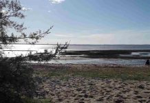 Plage de Graveyron : découvrez ce spot caché à Audenge plage de Graveyron