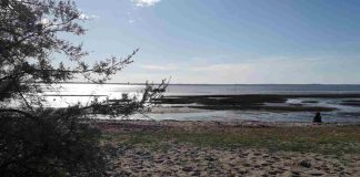 Plage de Graveyron : découvrez ce spot caché à Audenge plage de Graveyron