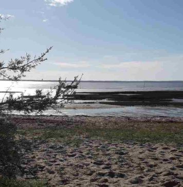 Plage de Graveyron : découvrez ce spot caché à Audenge plage de Graveyron