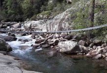 Forêt de Bonifatu : baignade, nature et paysages exceptionnels forêt de bonifatu