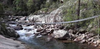 Forêt de Bonifatu : baignade, nature et paysages exceptionnels forêt de bonifatu