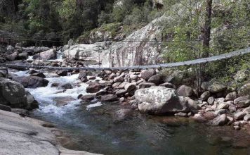Forêt de Bonifatu : baignade, nature et paysages exceptionnels forêt de bonifatu