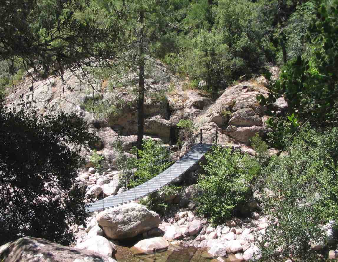 forêt de bonifatu